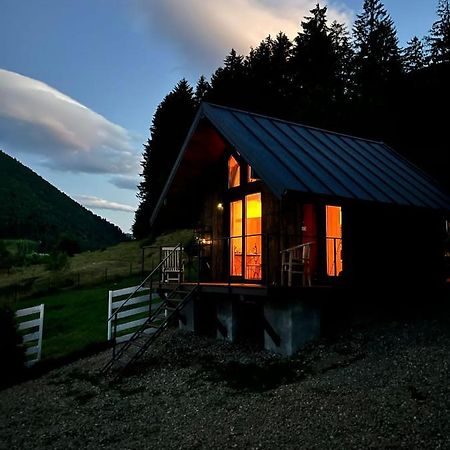 Bramble Tiny House Villa Zarnesti Exterior photo