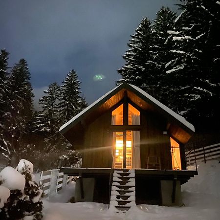 Bramble Tiny House Villa Zarnesti Exterior photo