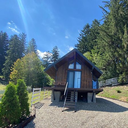 Bramble Tiny House Villa Zarnesti Exterior photo