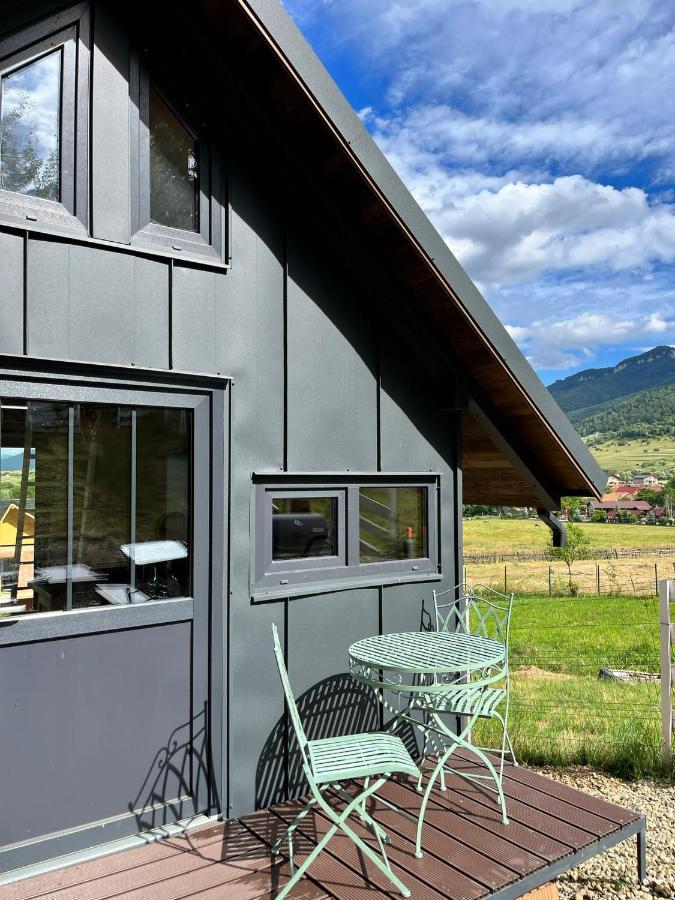 Bramble Tiny House Villa Zarnesti Exterior photo