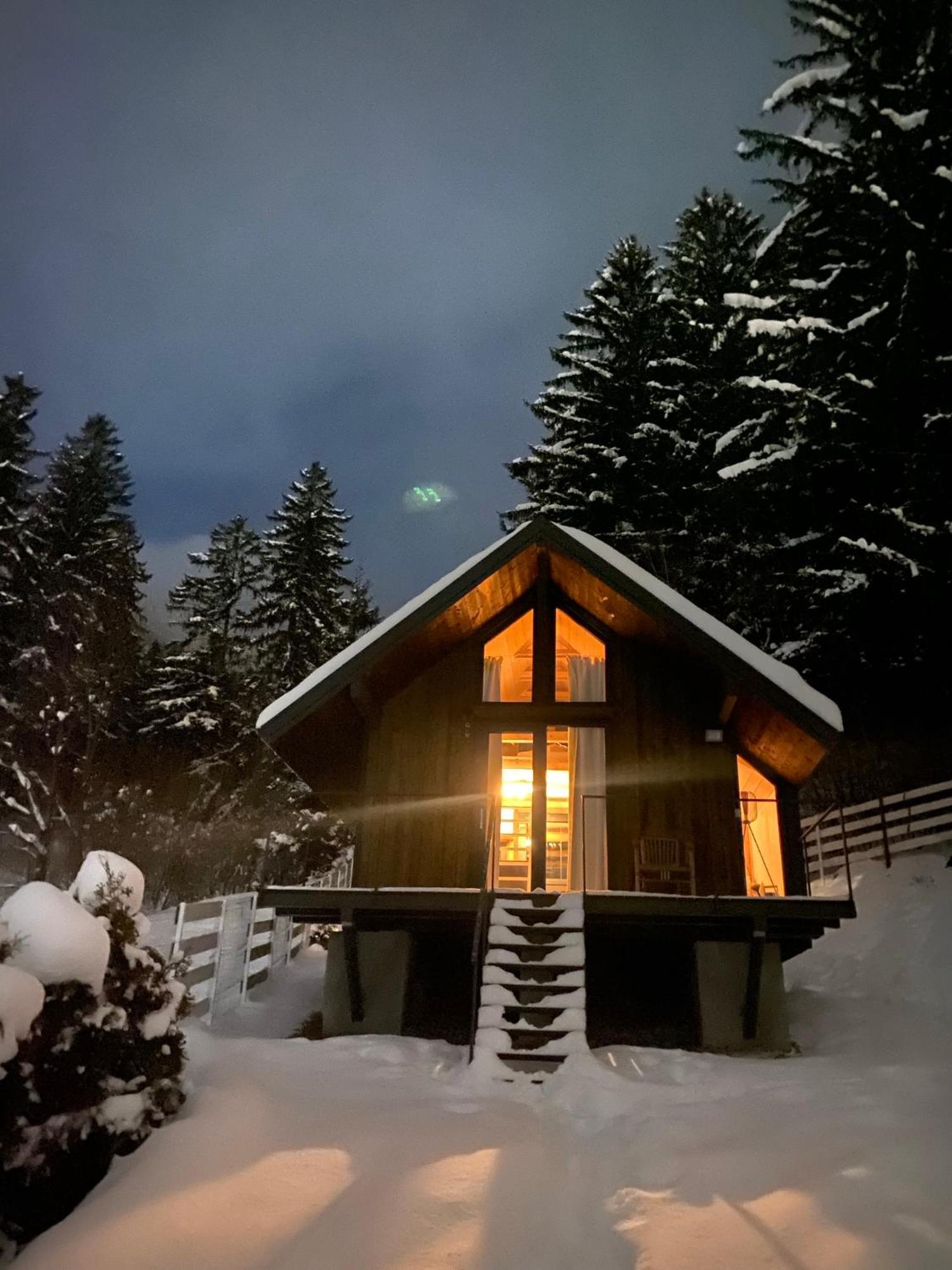 Bramble Tiny House Villa Zarnesti Exterior photo